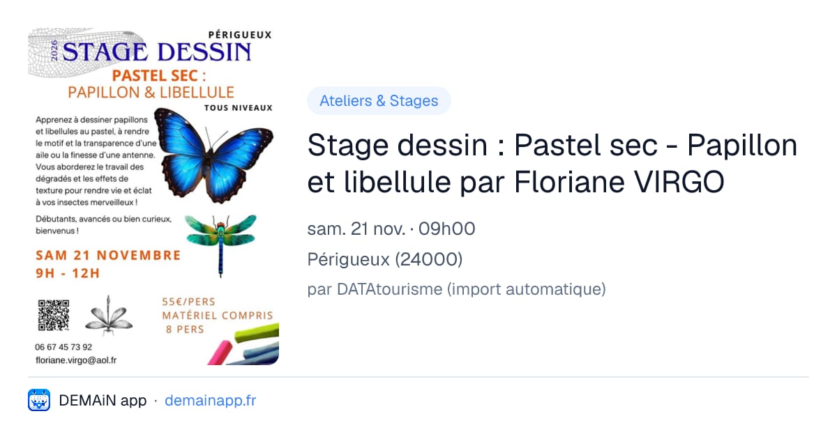 Stage dessin : Pastel sec - Papillon et libellule par Floriane VIRGO — Périgueux