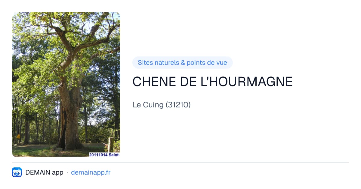 CHENE DE L'HOURMAGNE — Le Cuing