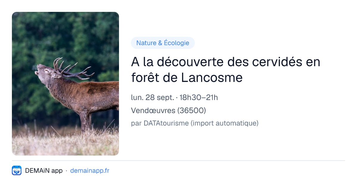 A la découverte des cervidés en forêt de Lancosme — Vendœuvres
