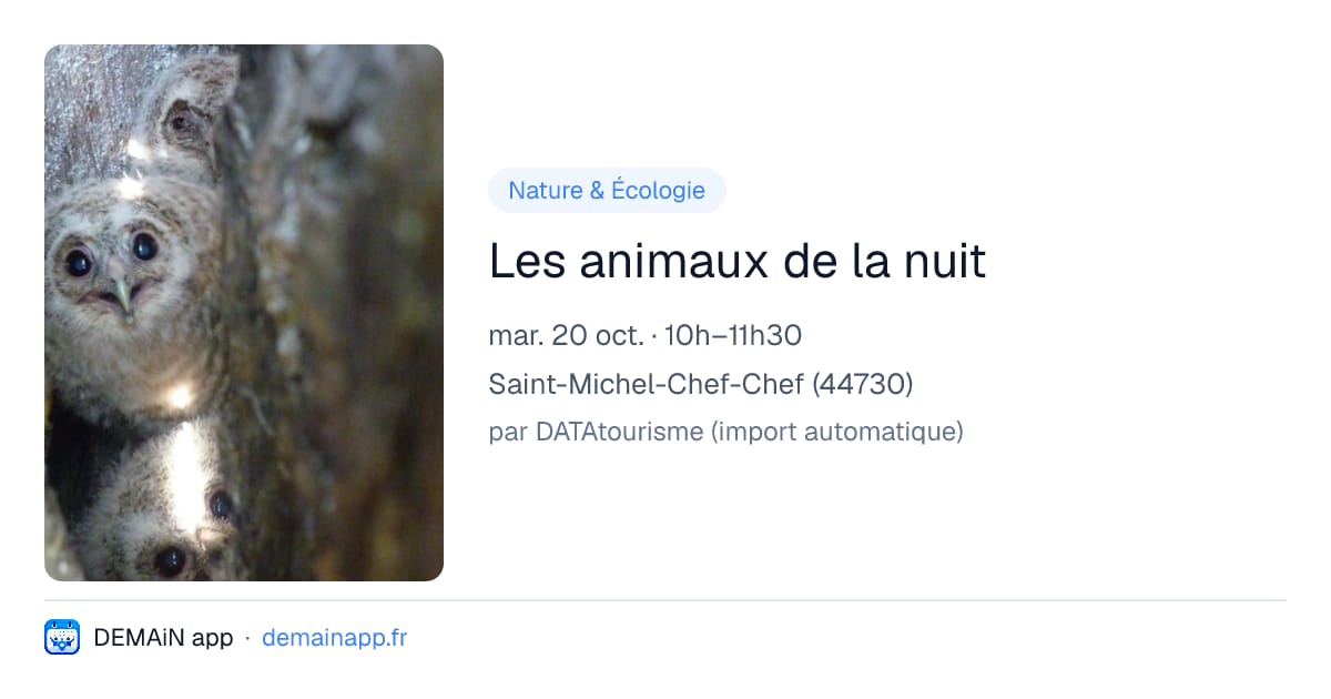 Les animaux de la nuit — Saint-Michel-Chef-Chef