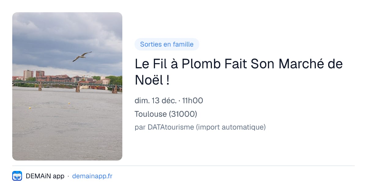 Le Fil à Plomb Fait Son Marché de Noël ! — Toulouse