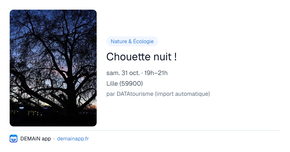 Chouette nuit ! — Lille