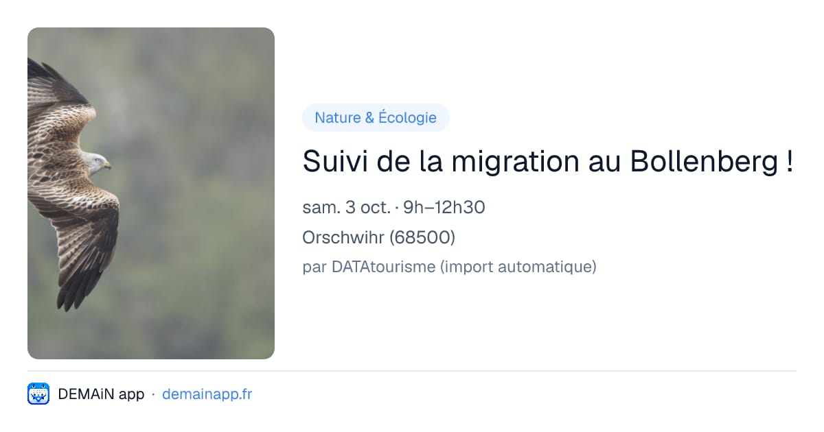 Suivi de la migration au Bollenberg ! — Orschwihr