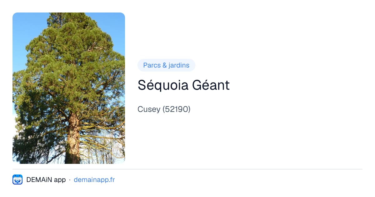 Séquoia Géant — Cusey