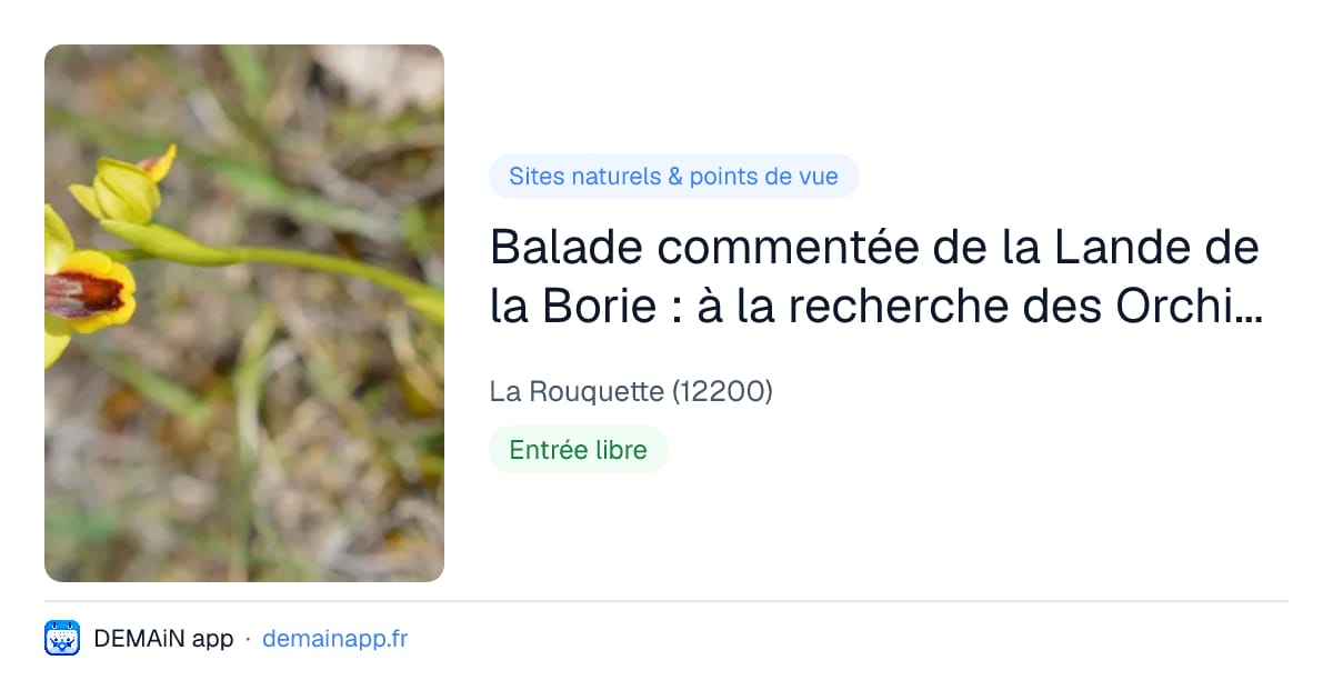 Balade commentée de la Lande de la Borie : à la recherche des Orchidées de La Rouquette — La Rouquette