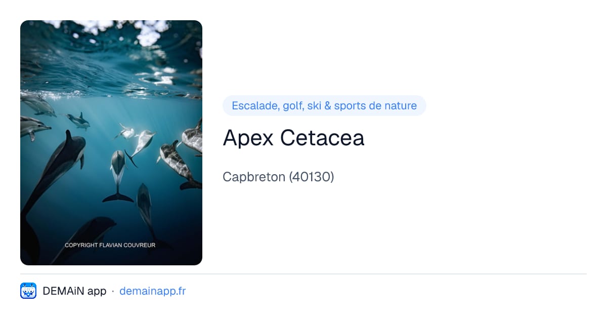 Apex Cetacea — Capbreton