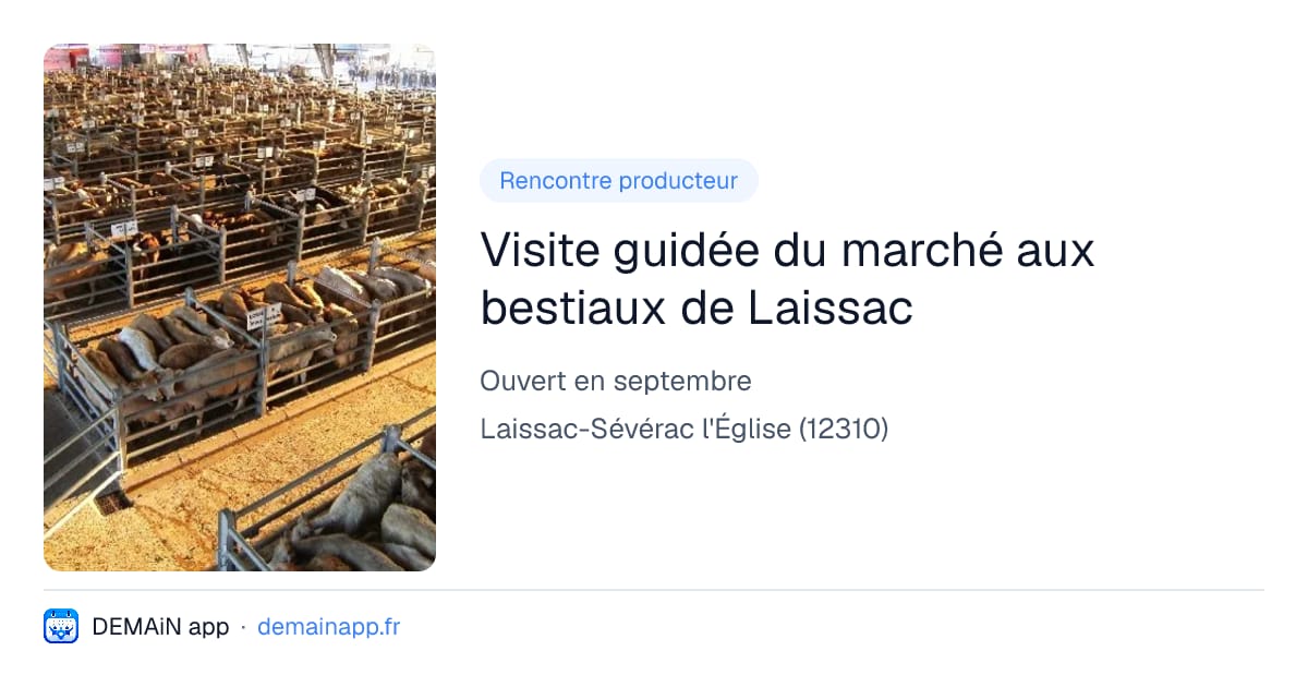 Visite guidée du marché aux bestiaux de Laissac — Laissac-Sévérac l'Église