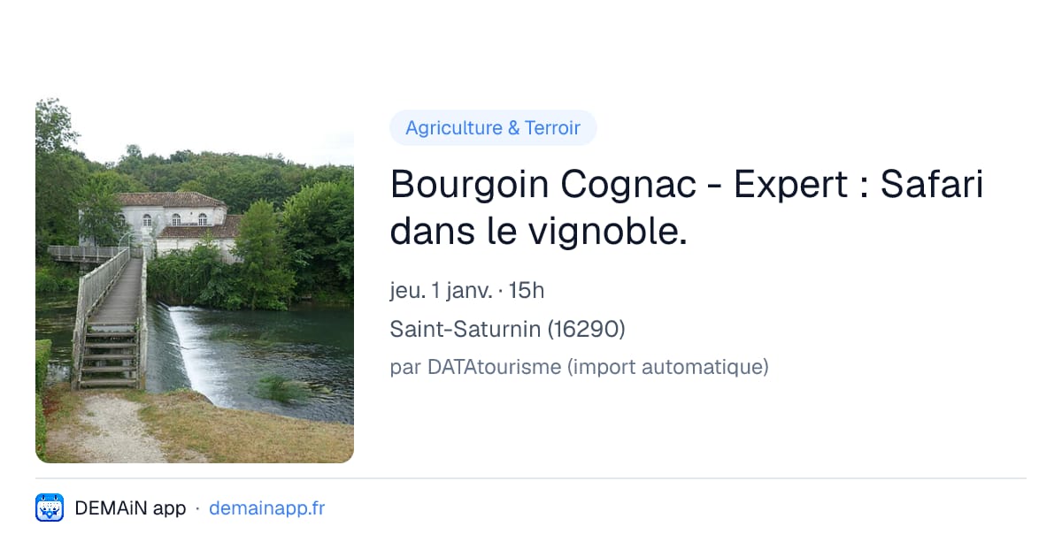 Bourgoin Cognac - Expert : Safari dans le vignoble. — Saint-Saturnin