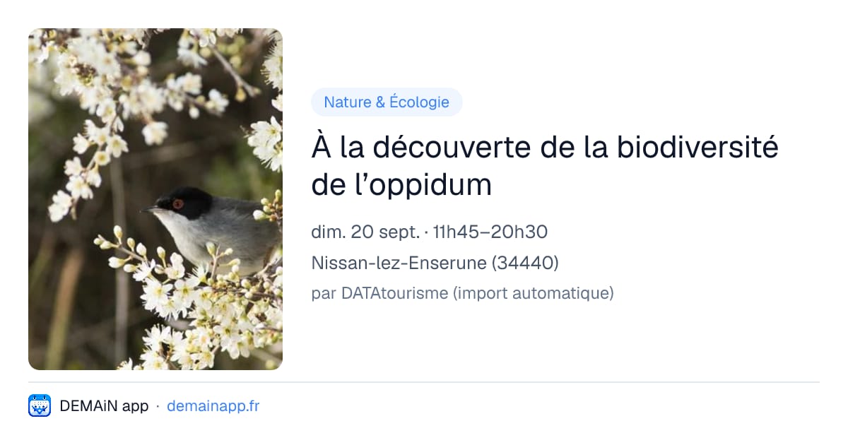 À la découverte de la biodiversité de l’oppidum — Nissan-lez-Enserune
