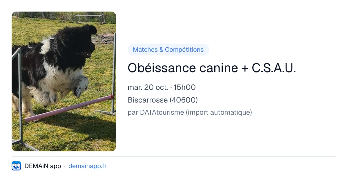 Obéissance canine + C.S.A.U. — Biscarrosse