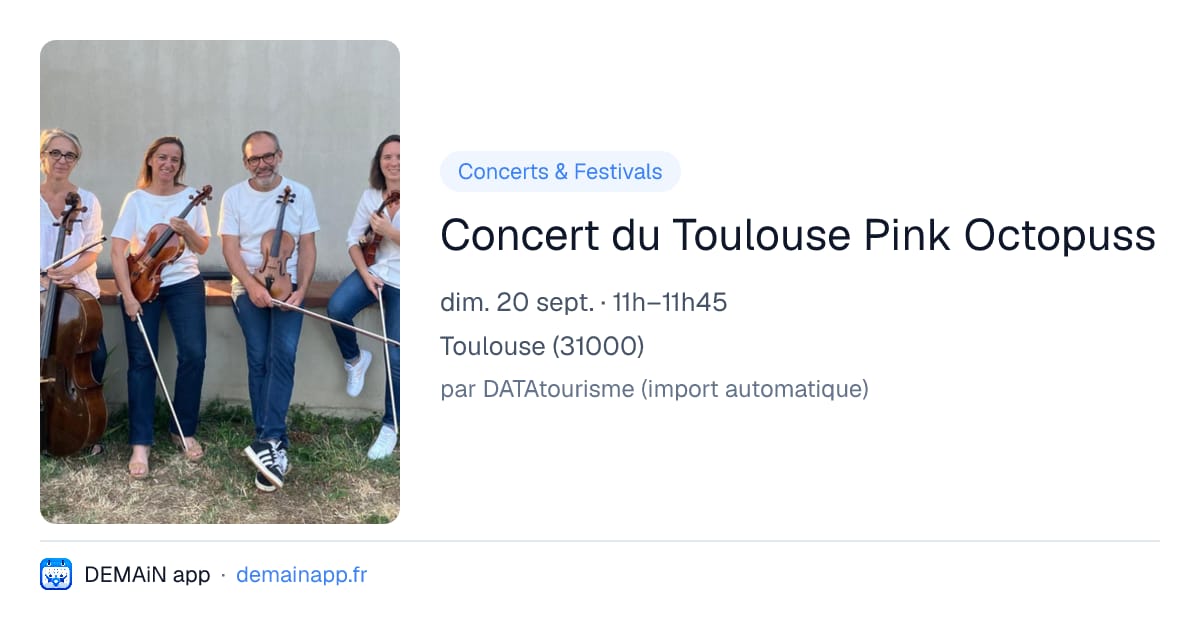 Concert du Toulouse Pink Octopuss — Toulouse