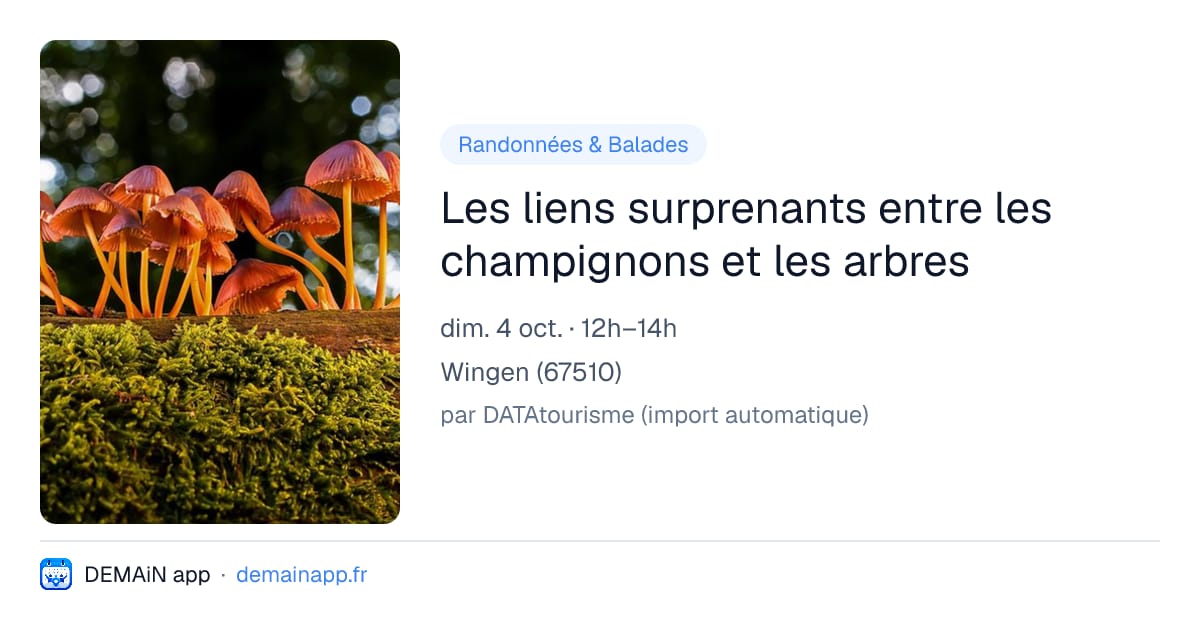 Les liens surprenants entre les champignons et les arbres — Wingen