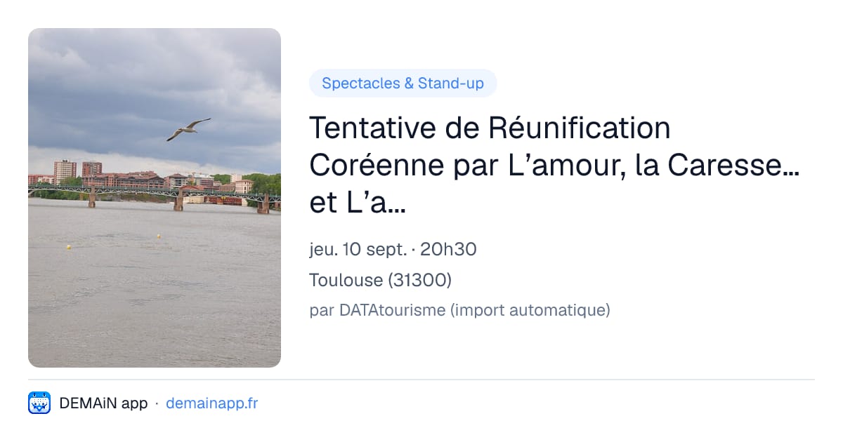 Tentative de Réunification Coréenne par L’amour, la Caresse… et L’argent ! — Toulouse
