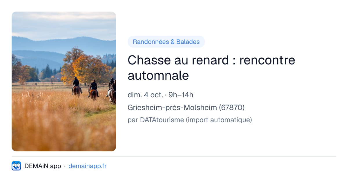 Chasse au renard : rencontre automnale — Griesheim-près-Molsheim